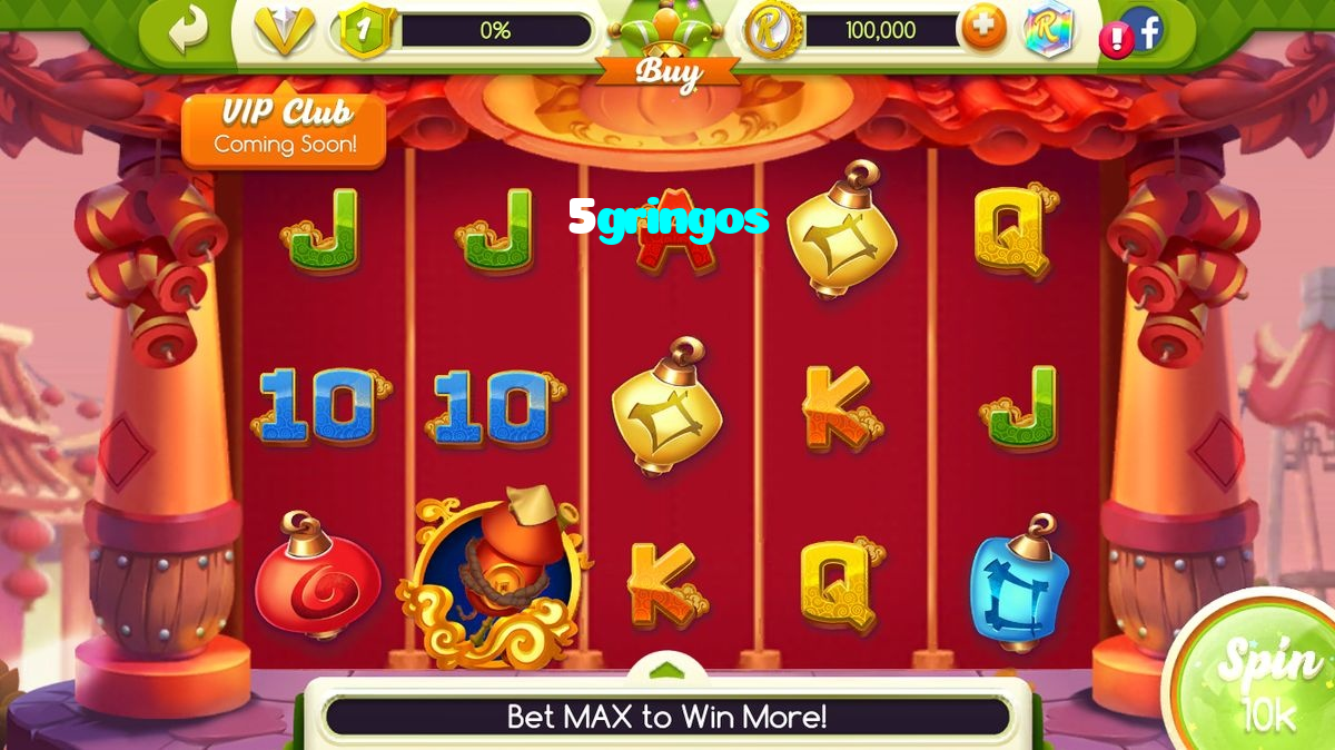 available types of 5gringos bet including pre-match live express and system bets